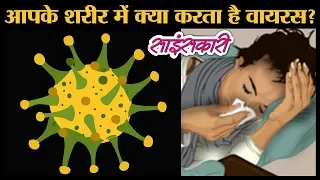जानिए Virus हमारी Body में क्या करता है । Sciencekaari | Common Cold