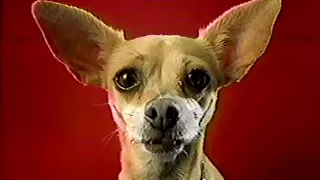 Taco Bell Chihuahua Commercials