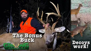 Fast Deer Hunting Action: Bonus Buck and Decoy Strategy (Self-filming, 2019 Deer Season)