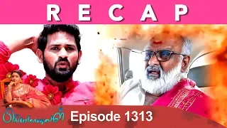 RECAP : Priyamanaval Episode 1313, 09/05/19