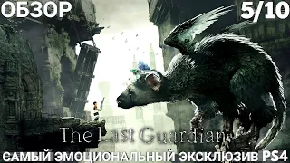 ОБЗОР THE LAST GUARDIAN