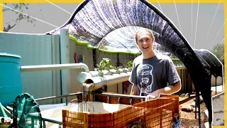 Complete Build of Aquaponics System | Full Version Movie Length