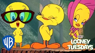 Looney Tuesdays | Tweety, an Icon for Everyone | Looney Tunes | @WB Kids