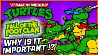 Teenage Mutant Ninja Turtles History  -TMNT Fall of the Foot Clan