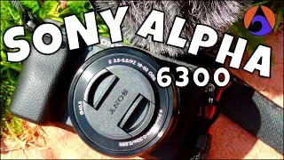 Review Sony a6300 [Best Value 4K video camera]