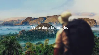 Vivre dans la Jungle.