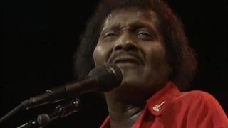 Albert Collins - "My Woman Has A Black Cat Bone" [Live from Austin, TX]