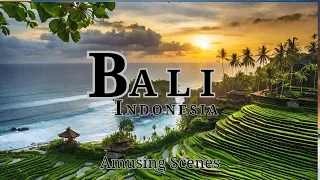 Bali Indonesia 4k - The Land Of The Gods I Amusing Scenes