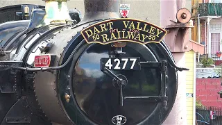 50 years of the Paignton & Dartmouth Steam Railway 1973 - 2023