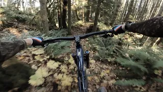 Generating a good time in Campbell river. Another secret not so secret trail.