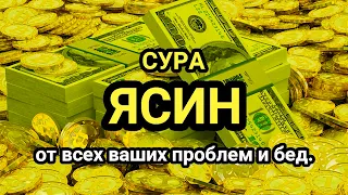 🔊 ✔ Сура "Ясин, "Утром и Вечером_سورة يس Очень сложные проблемы будут решены