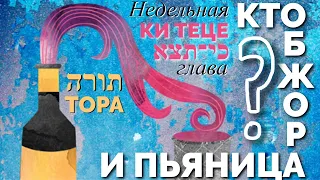 КТО ОБЖОРА И ПЬЯНИЦА? Не историческая Тора. Глава КИ ТЕЦЕ.