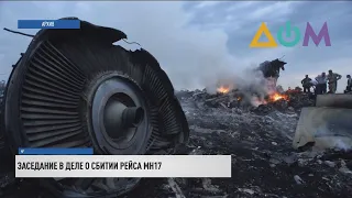 MH17: суд в Гааге сегодня продолжит рассматривать дело