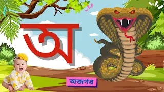 Aye ajagar | oi ojogor asche tere | অ'য় অজগর আসছে তেড়ে | Bengali Rhymes Jugnu kids Bangla..