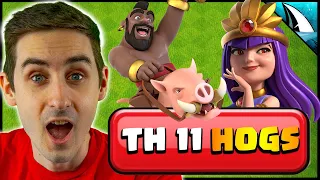 IMPROVE NOW with Hog Riders!! Queen Charge Hogs TH 11