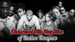 Native Tongues (A Tribe Called Quest, De La Soul, Black Star, Brand Nubian) Hip Hop Mix on Vinyl