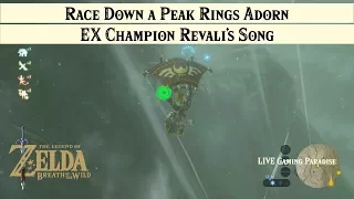 Breath of the Wild | EX Champion Revali's Song [DLC 2] Walkthrough [Trial 2 Down a Peak Rings Adorn]