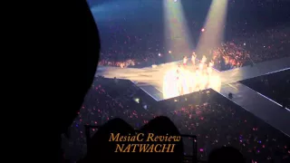 20140111 Into the new world - 2013 SNSD world tour Girl&peace