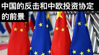 中国的反击和中欧投资协定的前景/上海中考教改踢爆学区房价(字幕)/Prospects For China-EU Investment Deal/王剑每日观察/20210323