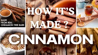 How Cinnamon is made ?  | Why Ceylon Cinnamon so Expensive ?