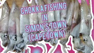 Chokka (Calamari) Fishing In Simon's Town (Cape Town)