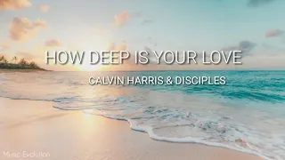 Calvin Harris & Disciples - How Deep Is Your Love (Lyrics)