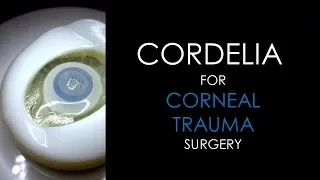 BIONIKO CORDELIA Model for TRAUMA - Corneal Laceration Repair