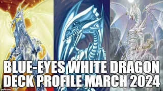 BLUE-EYES WHITE DRAGON DECK PROFILE (MARCH 2024) YUGIOH!