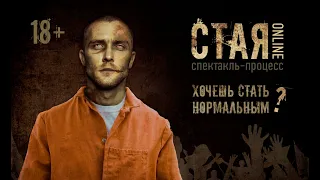 Театр Живого Действия, спектакль "Стая"