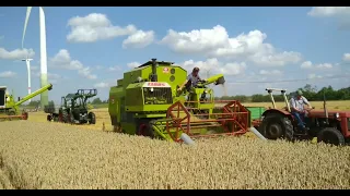 Claas Cosmos und Claas Dominator bei der Ernte 2022