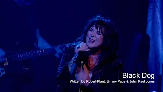 Ann Wilson - Black Dog (Live)