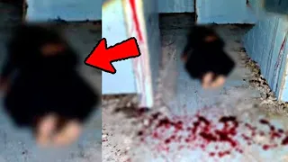 5 videos de TERROR REAL PARA NO DORMIR | MIEDO REAL 2023 | No apto para Cobardes *14