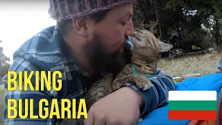 Cats journey into Sofia 😻🚴🏼‍♂️ VLOG#17