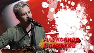 Команда Пелагеи перед Нокаутами. Александр Волкодав. Голос 10