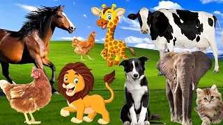 Cute animals animal sounds cat dog cow duck chicken horse sheep goat som dos animais da fazenda