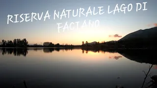 RISERVA NATURALE LAGO DI FALCIANO #4k #dronevideo #djimini2 #gopro #lago #animal #italy #caserta