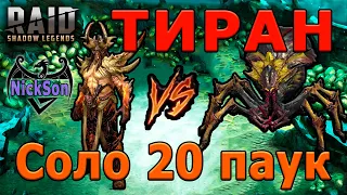 Тиран. Соло 20 паучиха