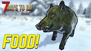Where to find Food | Tips & Tricks | 7 Days to Die | Alpha 20