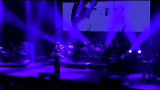 Kosheen featuring Bohemian Symphony Orchestra Prague (BSOP) -  Forum Karlín Praha 02 06 2015