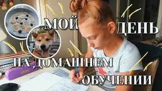 МОЙ ДЕНЬ НА ДОМАШНЕМ ОБУЧЕНИИ