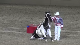 Tommie Turvey & Jokers Wild - Night of the Horse - Del Mar National Horse Show 2013