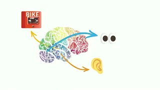 How to Grow a Brain  (Comment développer un cerveau)