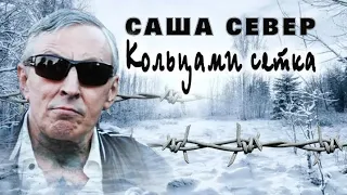 Саша Север ✵Вор✵   Кольцами сетка