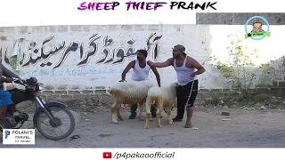 | SHEEP THEIF PRANK | By Nadir AlI & Sanata In  |P4 Pakao | 2017