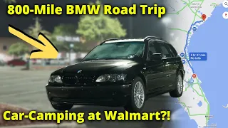 Car-CAMPING in my BMW Wagon! (The Ultimate ROAD TRIP Machine?)