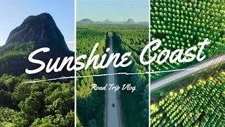Glass House Mountains Madness! | Sunshine Coast Road Trip Vlog 12