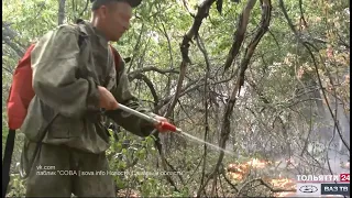 Самарская область борется с пожаром («Новости Тольятти» 23.08.2021)