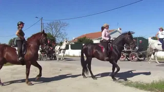 XXII Romaria a Cavalo   Moita » Viana do Alentejo 2024  parte 2