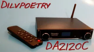 Dilvpoetry DA2021C _(Z Reviews)_