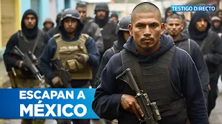 Las Pandillas de El Salvador se refugian en México con el apoyo del Cartel de Sinaloa